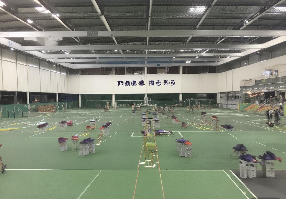 保定容大vs泰队：激情对决背后的备战与战术解析